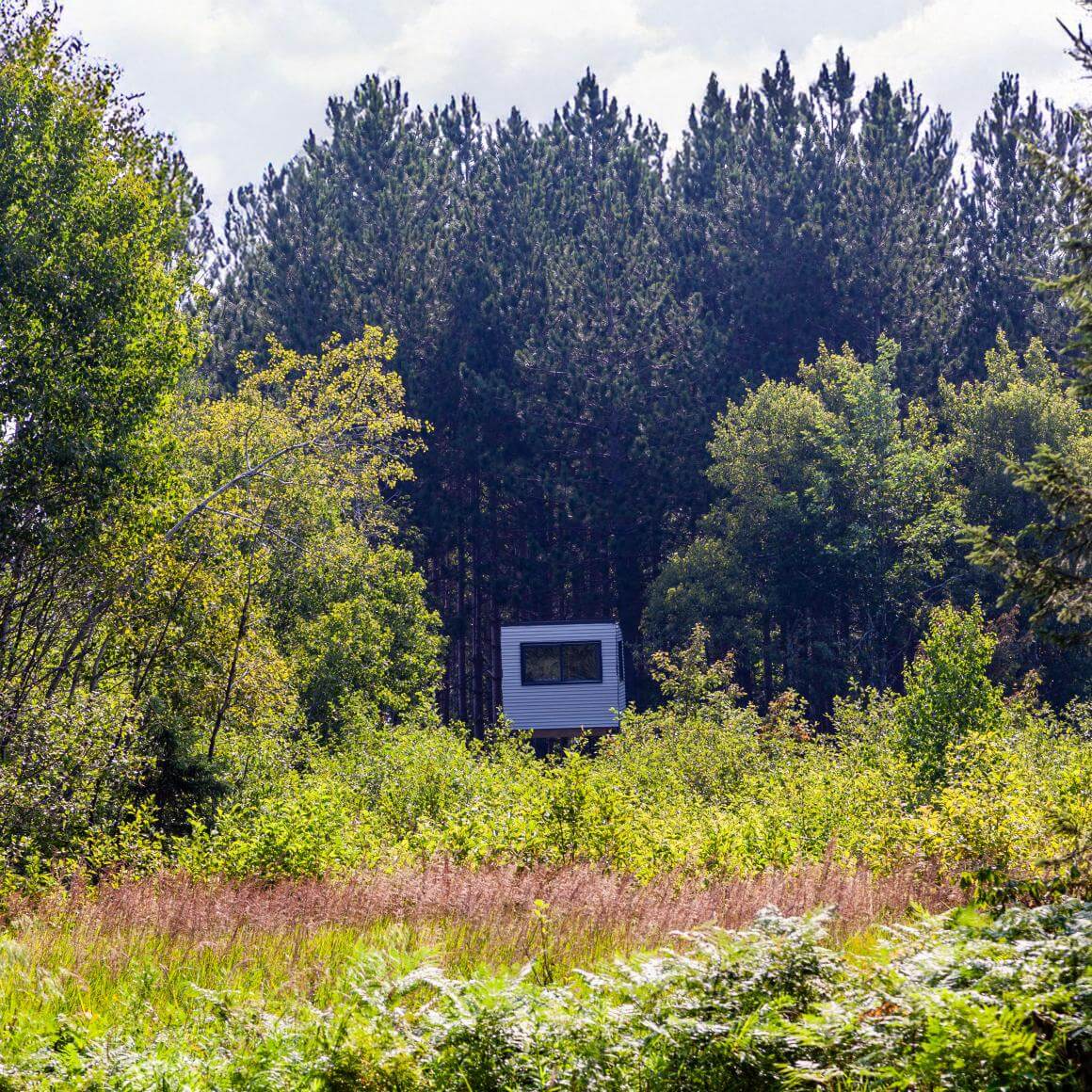 Deer hunting blind surround by trees and other vegetation.